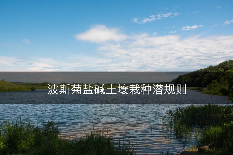 波斯菊盐碱土壤栽种潜规则(图1)