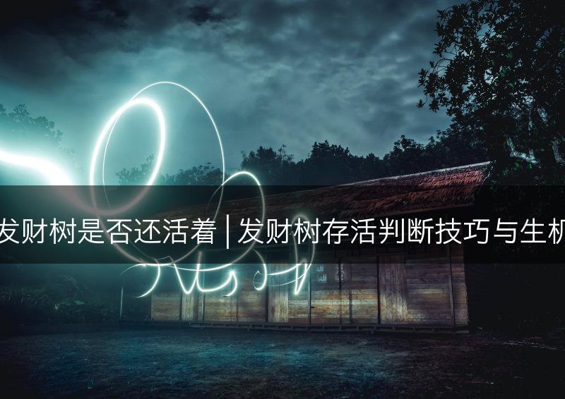 怎样判断发财树是否还活着 | 发财树存活判断技巧与生机观察方法(图1)