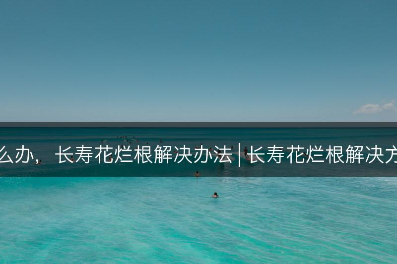 长寿花烂根怎么办，长寿花烂根解决办法 | 长寿花烂根解决方法及预防技巧(图1)