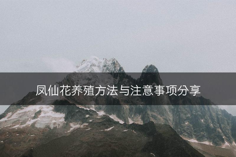 凤仙花养殖方法与注意事项分享(图1)