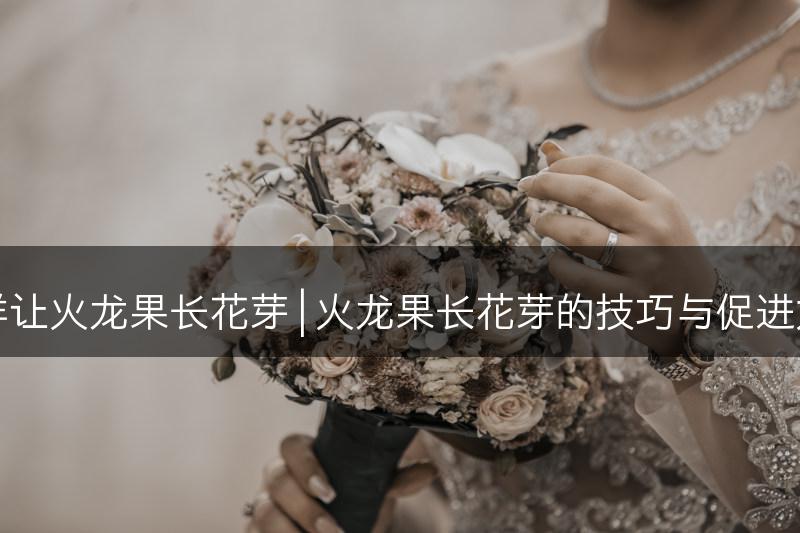 怎样让火龙果长花芽 | 火龙果长花芽的技巧与促进方法(图1)