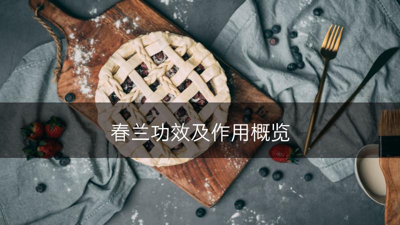 春兰功效及作用概览(图1)