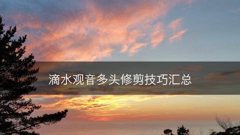 滴水观音多头修剪技巧汇总(图1)