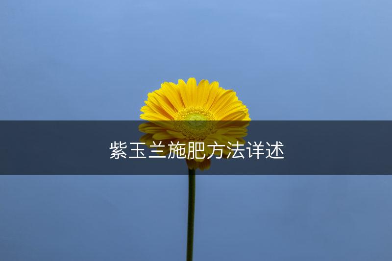 紫玉兰施肥方法详述(图1)