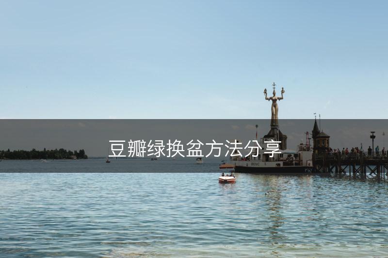 豆瓣绿换盆方法分享(图1)