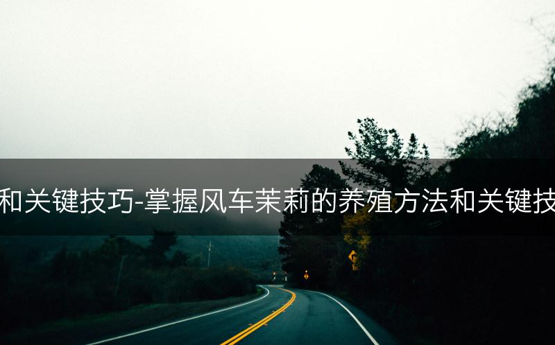 风车茉莉的养殖方法和关键技巧-掌握风车茉莉的养殖方法和关键技巧，确保其健康生长(图1)