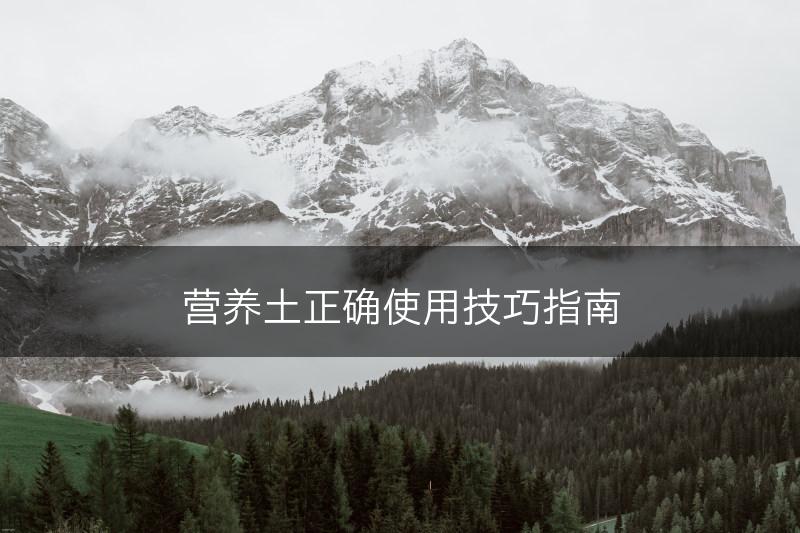 营养土正确使用技巧指南(图1)
