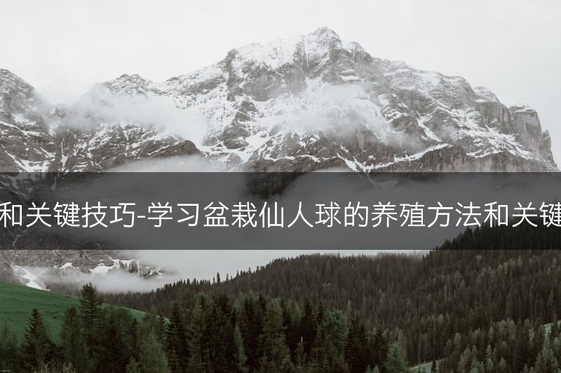 盆栽仙人球的养殖方法和关键技巧-学习盆栽仙人球的养殖方法和关键技巧，确保其健康成长(图1)
