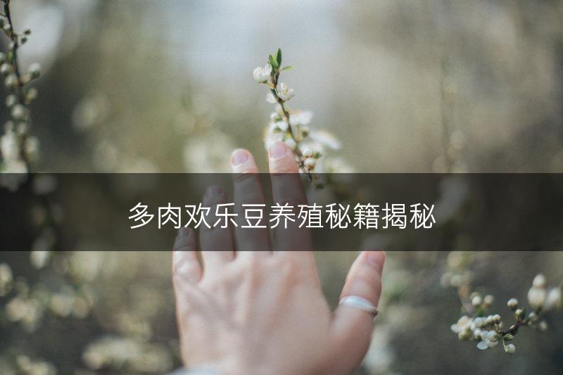 多肉欢乐豆养殖秘籍揭秘(图1)