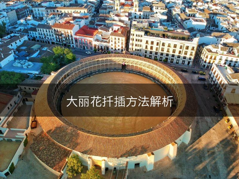 大丽花扦插方法解析(图1)