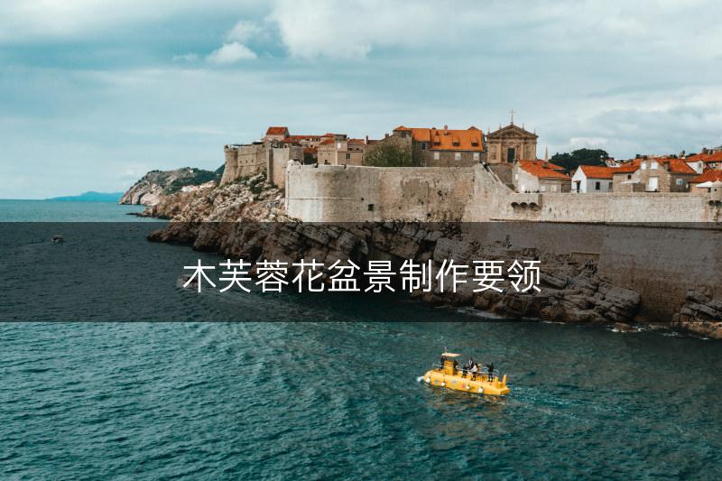 木芙蓉花盆景制作要领(图1)