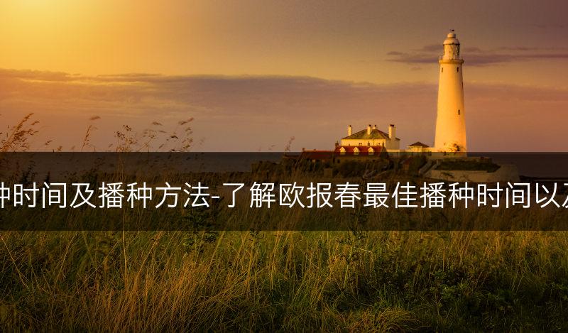 欧报春的适宜播种时间及播种方法-了解欧报春最佳播种时间以及相应的播种方法(图1)