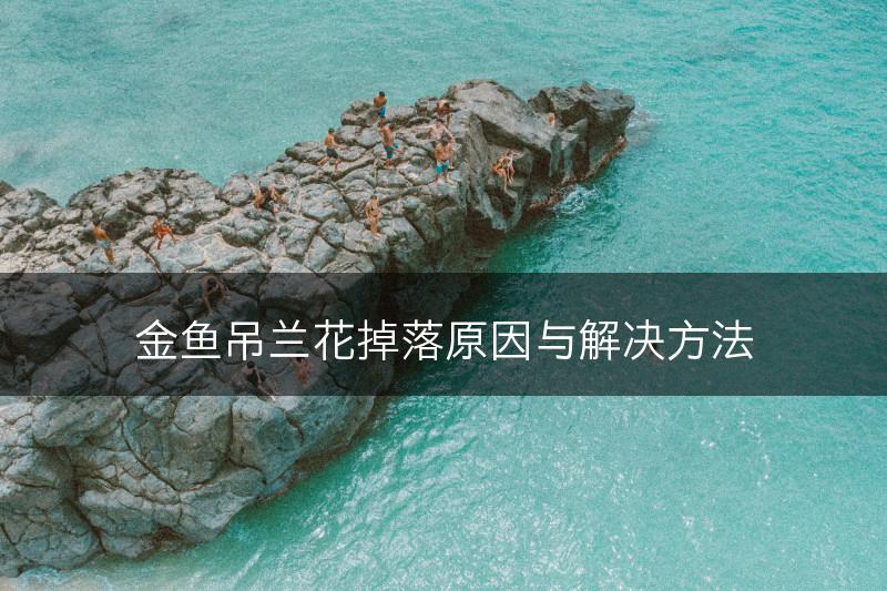金鱼吊兰花掉落原因与解决方法(图1)