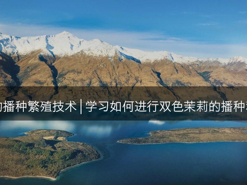 双色茉莉的播种繁殖技术 | 学习如何进行双色茉莉的播种和繁殖方法(图1)