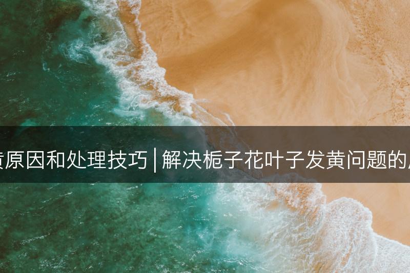 栀子花叶子发黄原因和处理技巧 | 解决栀子花叶子发黄问题的原因和处理方法(图1)
