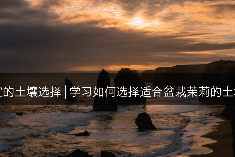 盆栽茉莉适宜的土壤选择 | 学习如何选择适合盆栽茉莉的土壤类型和盆器(图1)