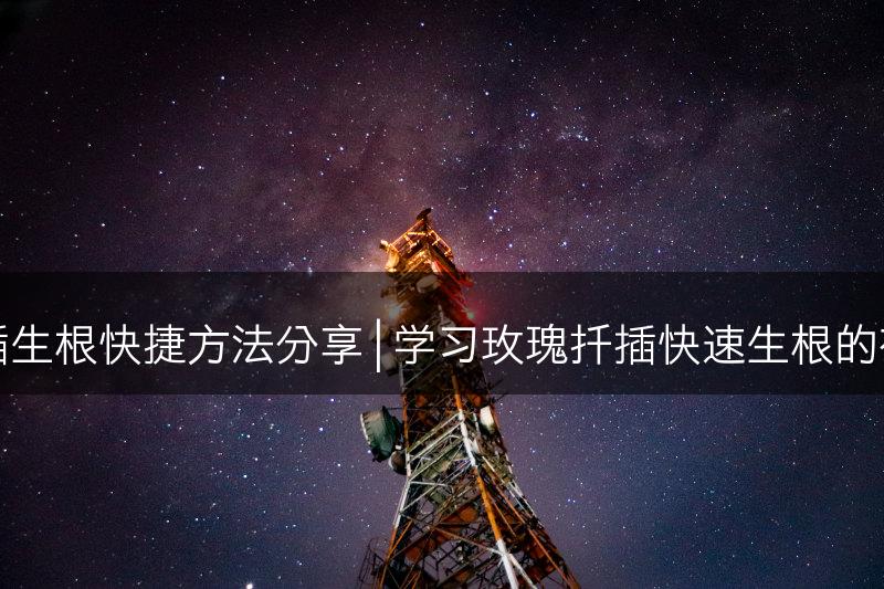 玫瑰扦插生根快捷方法分享 | 学习玫瑰扦插快速生根的有效技巧(图1)