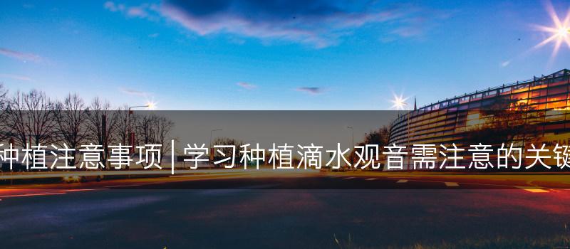 滴水观音的种植注意事项 | 学习种植滴水观音需注意的关键事项和技巧(图1)