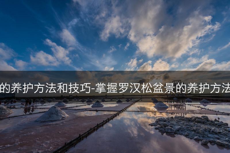 罗汉松盆景的养护方法和技巧-掌握罗汉松盆景的养护方法和关键技巧(图1)