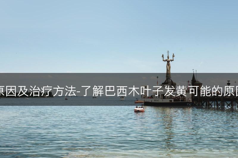 巴西木叶子发黄的原因及治疗方法-了解巴西木叶子发黄可能的原因和相应的治疗方法(图1)