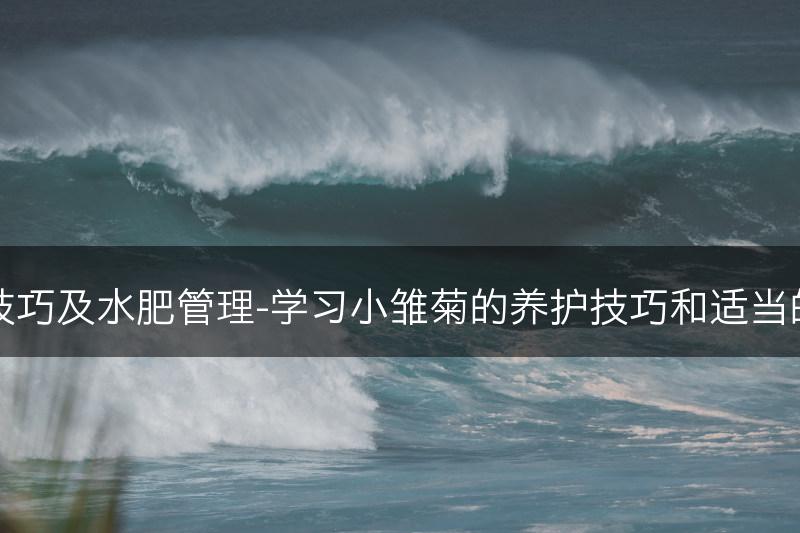 小雏菊的养护技巧及水肥管理-学习小雏菊的养护技巧和适当的水肥管理方法(图1)