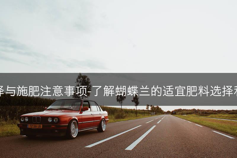 蝴蝶兰的肥料选择与施肥注意事项-了解蝴蝶兰的适宜肥料选择和施肥的注意事项(图1)
