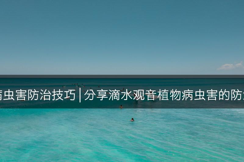 滴水观音病虫害防治技巧 | 分享滴水观音植物病虫害的防治技巧分享(图1)