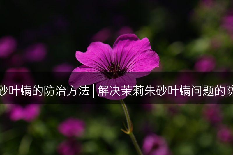 茉莉朱砂叶螨的防治方法 | 解决茉莉朱砂叶螨问题的防治技巧(图1)