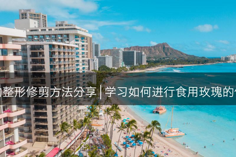 食用玫瑰的整形修剪方法分享 | 学习如何进行食用玫瑰的修剪与整形(图1)