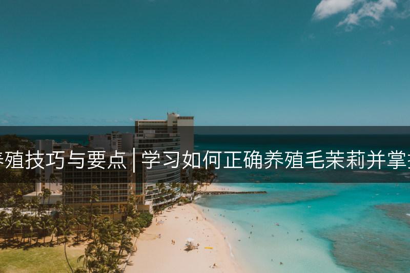 毛茉莉的养殖技巧与要点 | 学习如何正确养殖毛茉莉并掌握关键要点(图1)