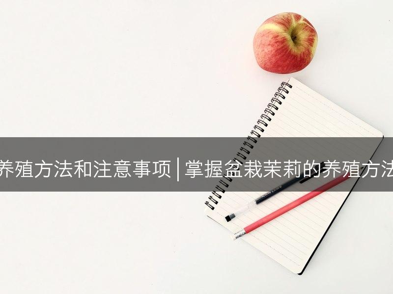 盆栽茉莉的养殖方法和注意事项 | 掌握盆栽茉莉的养殖方法和注意事项(图1)