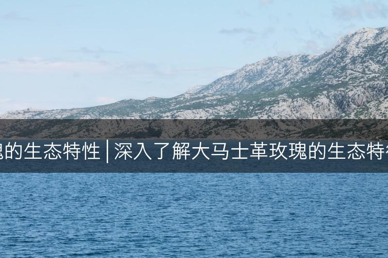 探索大马士革玫瑰的生态特性 | 深入了解大马士革玫瑰的生态特征及适宜生长环境(图1)