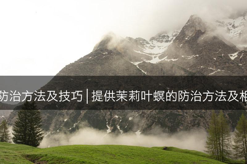 茉莉叶螟的防治方法及技巧 | 提供茉莉叶螟的防治方法及相关养护技巧(图1)