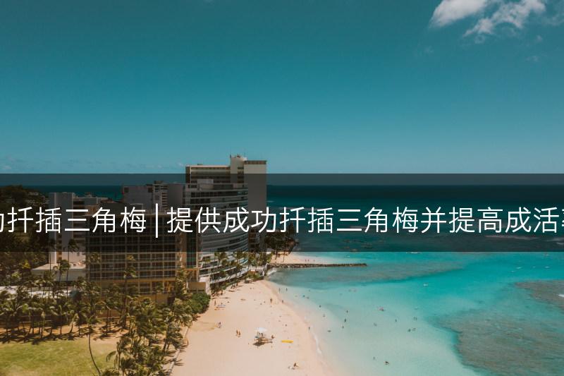 如何成功扦插三角梅 | 提供成功扦插三角梅并提高成活率的技巧(图1)