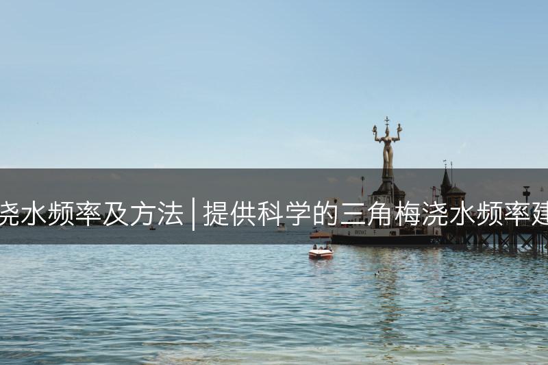 探究三角梅的浇水频率及方法 | 提供科学的三角梅浇水频率建议和方法介绍(图1)