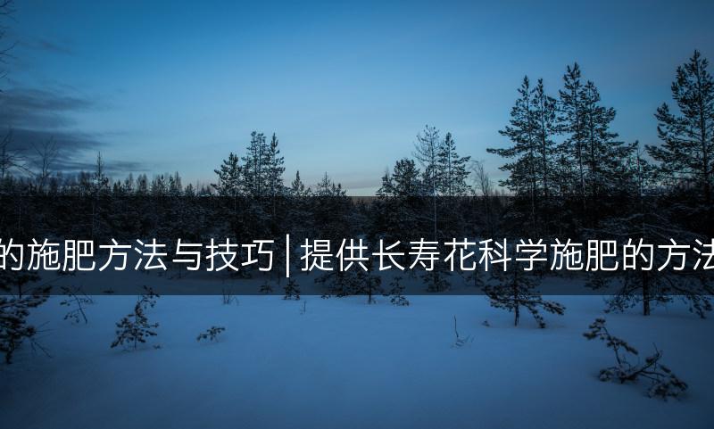 长寿花的施肥方法与技巧 | 提供长寿花科学施肥的方法与技巧(图1)
