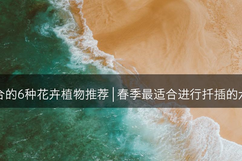 春季扦插适合的6种花卉植物推荐 | 春季最适合进行扦插的六种花卉推荐(图1)