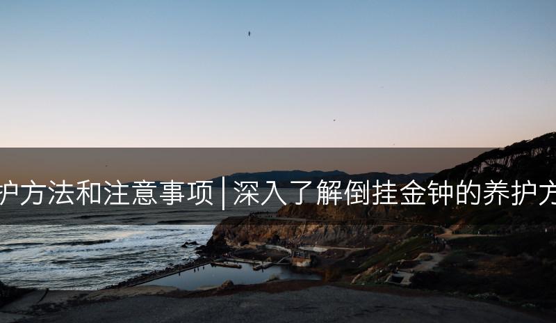 倒挂金钟的养护方法和注意事项 | 深入了解倒挂金钟的养护方法和注意事项(图1)