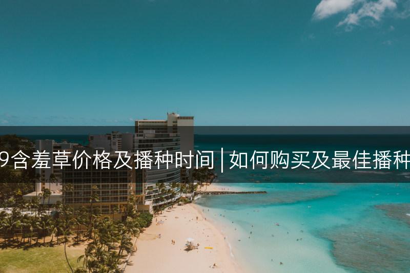 2019含羞草价格及播种时间 | 如何购买及最佳播种时间(图1)