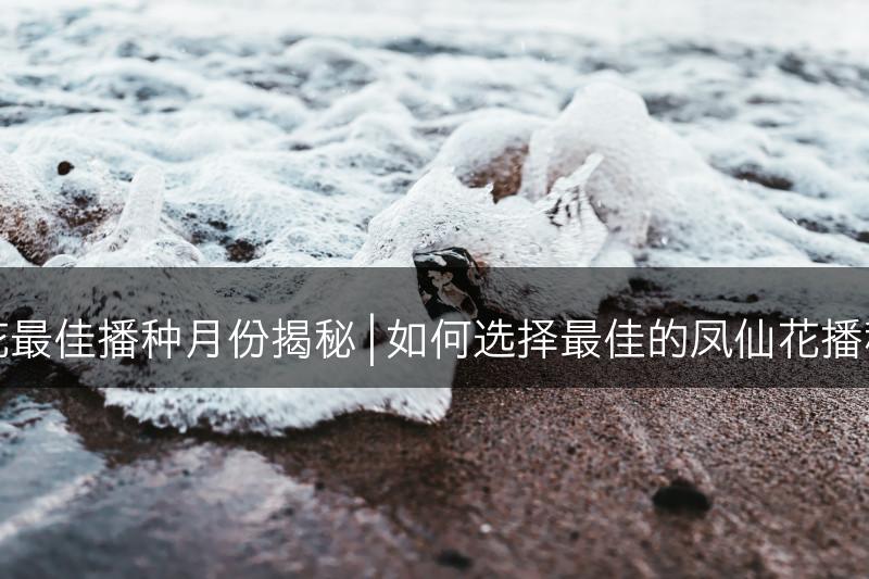 凤仙花最佳播种月份揭秘 | 如何选择最佳的凤仙花播种时间(图1)