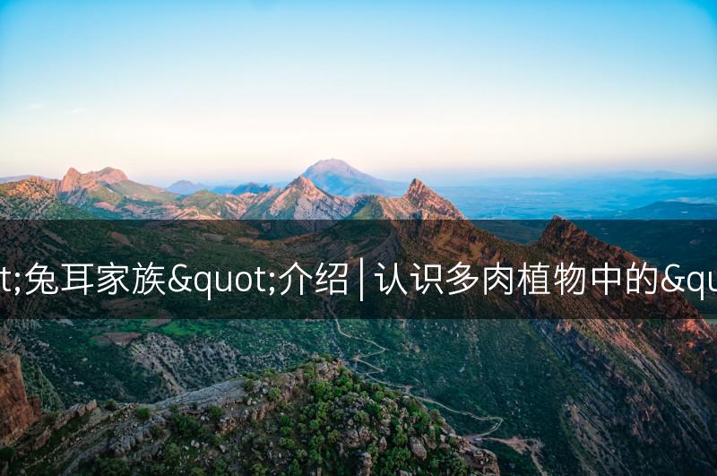 多肉植物中的"兔耳家族"介绍 | 认识多肉植物中的"兔耳家族"(图1)