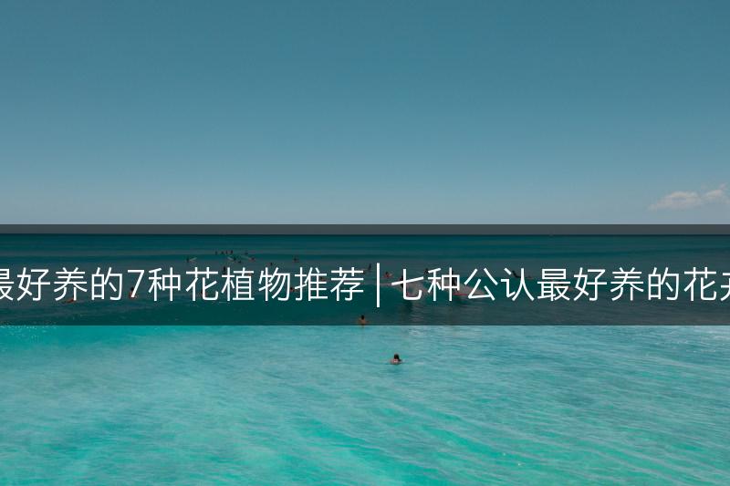 公认最好养的7种花植物推荐 | 七种公认最好养的花卉推荐(图1)