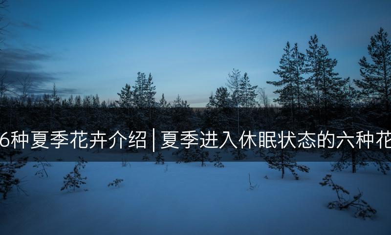 休眠的6种夏季花卉介绍 | 夏季进入休眠状态的六种花卉推荐(图1)