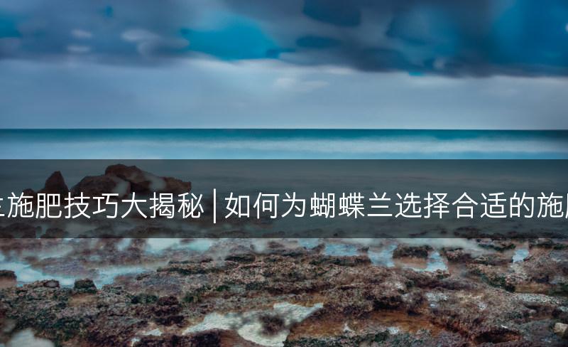 蝴蝶兰施肥技巧大揭秘 | 如何为蝴蝶兰选择合适的施肥品种(图1)