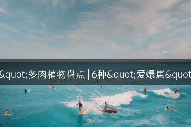 "爱爆崽"多肉植物盘点 | 6种"爱爆崽"多肉植物鉴赏(图1)