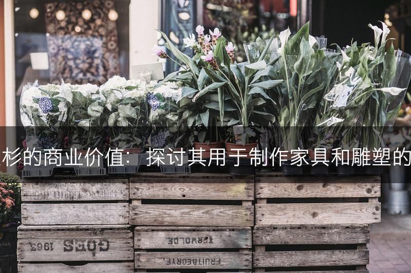 红豆杉的商业价值：探讨其用于制作家具和雕塑的潜力(图1)