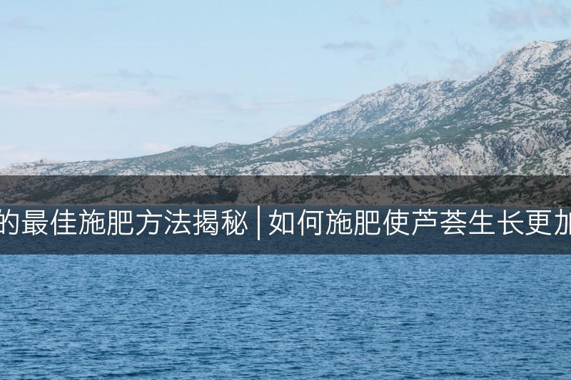 芦荟的最佳施肥方法揭秘 | 如何施肥使芦荟生长更加繁茂(图1)