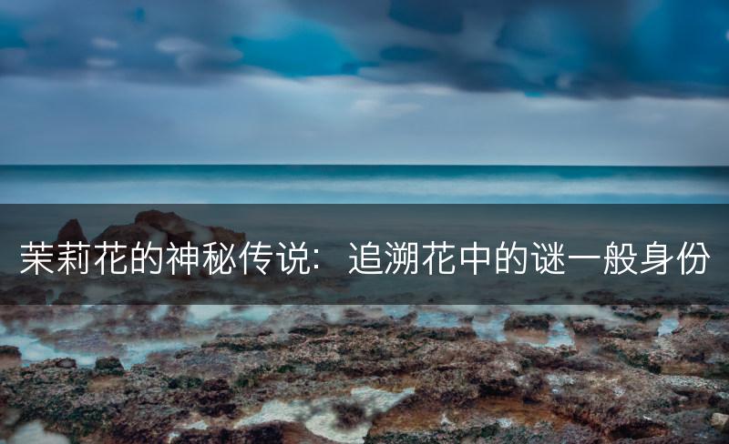 茉莉花的神秘传说：追溯花中的谜一般身份(图1)