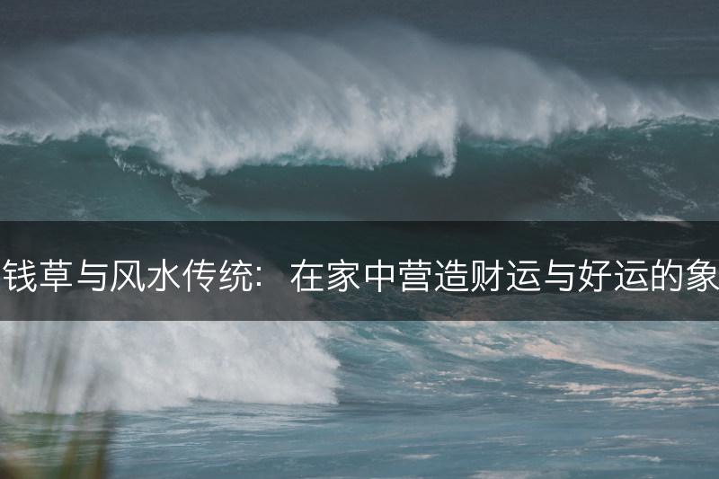 铜钱草与风水传统：在家中营造财运与好运的象征(图1)