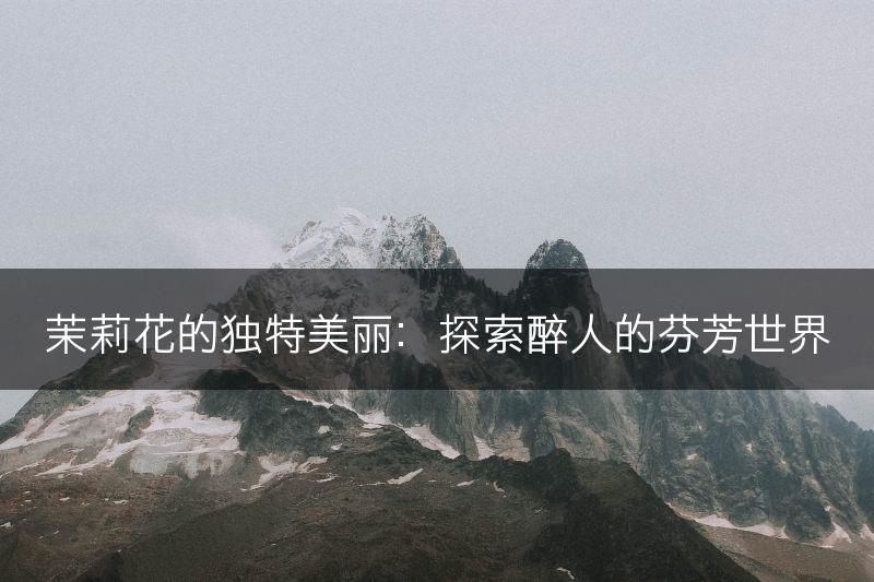 茉莉花的独特美丽：探索醉人的芬芳世界(图1)